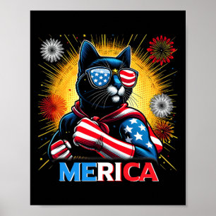 Affiche Feu d'artifice Chat noir patriotique Drapeau améri