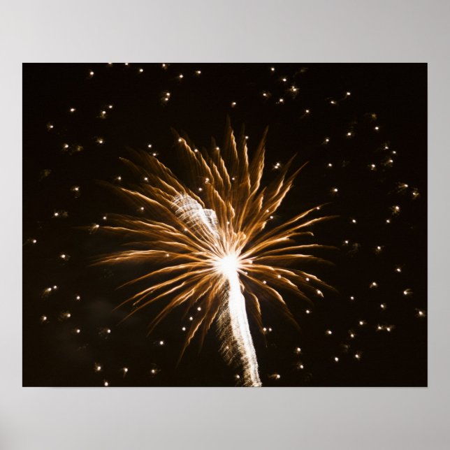 Affiche Feu d'artifice sur la rivière Savannah (Devant)