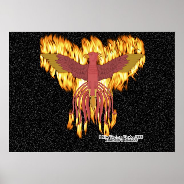 Affiche Feu Phoenix (Devant)