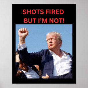 Affiche Feu ! Président Trump