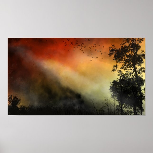 Affiche Feu sauvage (Devant)