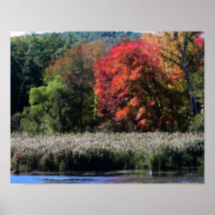 Affiche Feuillage D'Automne Bordant Un Effet Orton De Mara