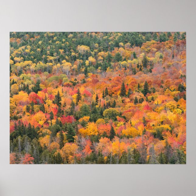 Affiche Feuillage d'automne | La péninsule de Keweenaw, Mi (Devant)