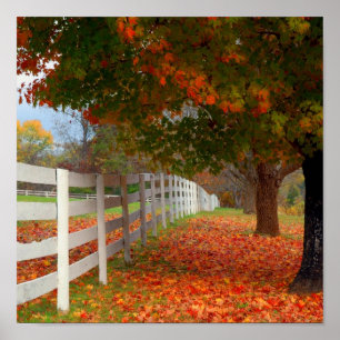 Affiche Feuille d'automne