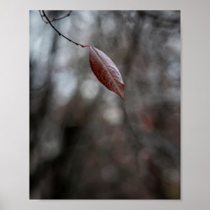 Affiche Feuille d'automne simple bordeaux sur une mince br