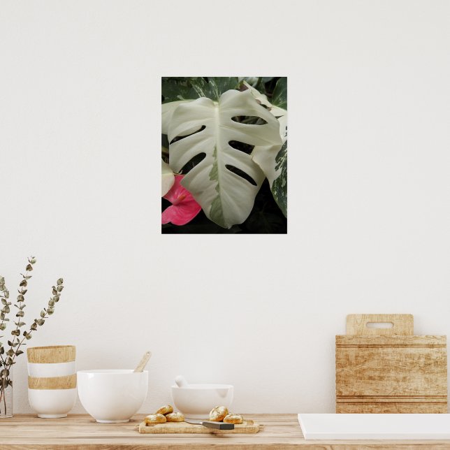 Affiche Feuille de Monstera fleurie panachée (Cuisine)