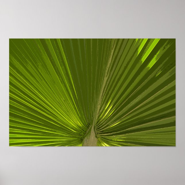 Affiche Feuille de palmier tropical vert (Devant)
