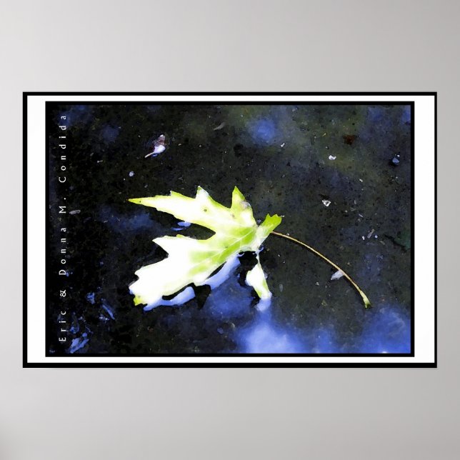 Affiche Feuille d'érable I (Devant)