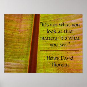 Affiche Feuille d'inspiration