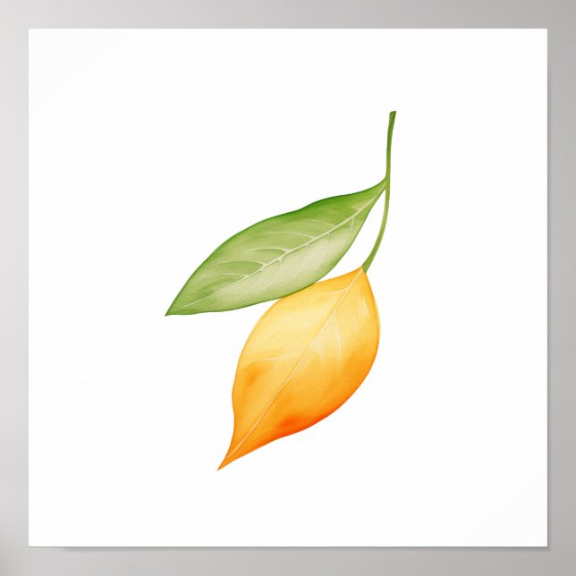 Affiche Feuille d'orange (Devant)