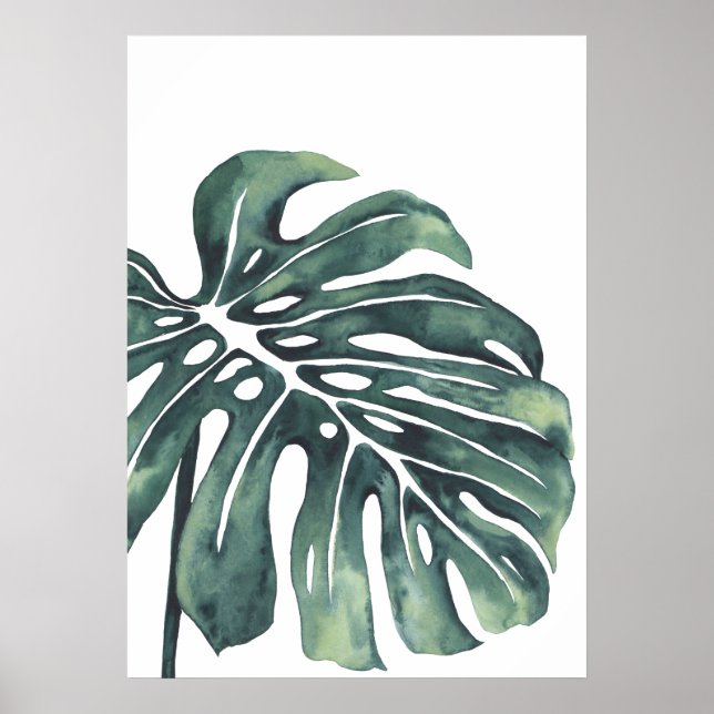 Affiche Feuille Monstera 4 (Devant)