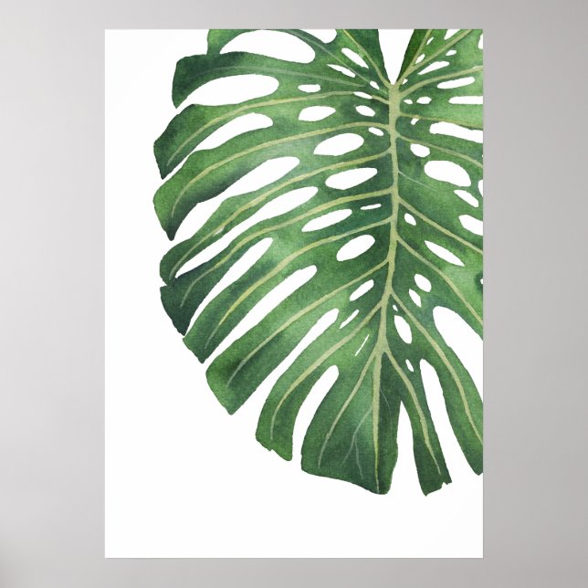 Affiche Feuille Monstera 6 (Devant)
