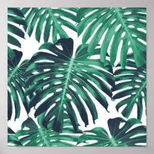 Affiche Feuille tropical vert