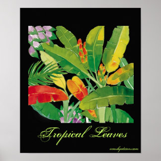 Affiche Feuille tropicale