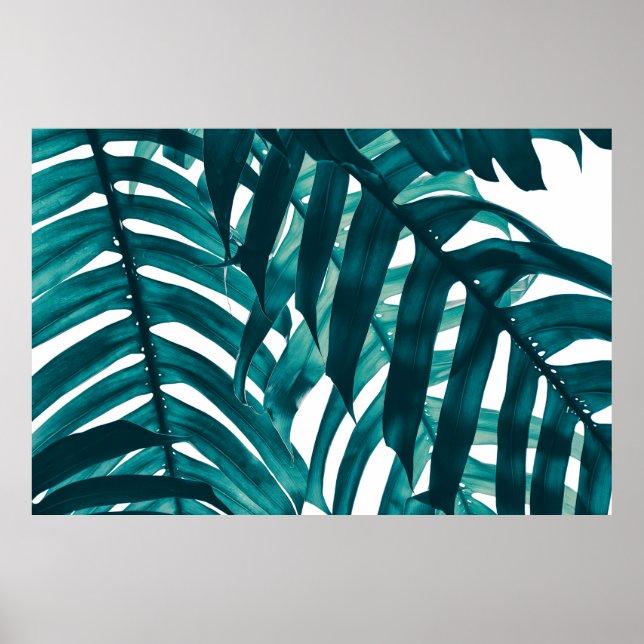 Affiche feuille tropicale, bande de feuillage exotique sou (Devant)
