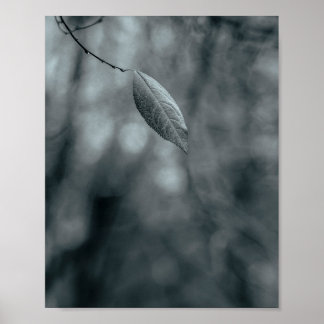 Affiche Feuille unique sur une fine branche en monochrome 