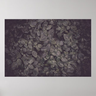 AFFICHE FEUILLE VERT