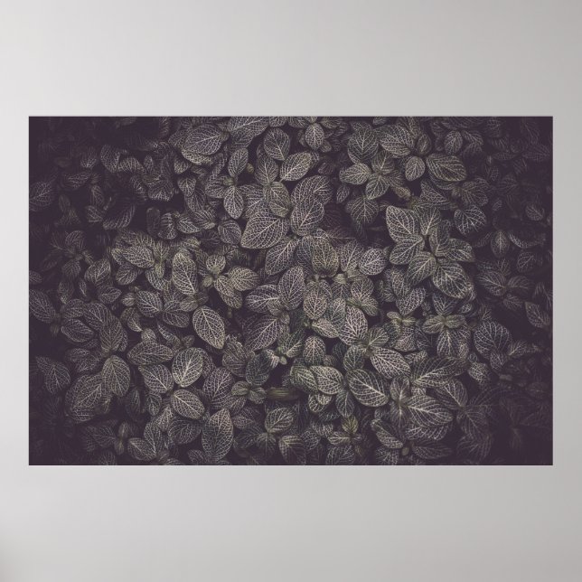 AFFICHE FEUILLE VERT (Devant)