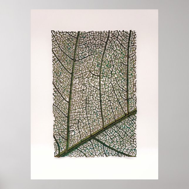 Affiche Feuille verte (Devant)