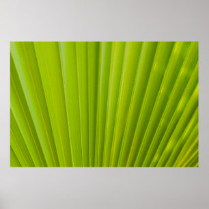 Affiche Feuille verte
