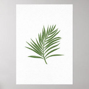 Affiche Feuille verte 3