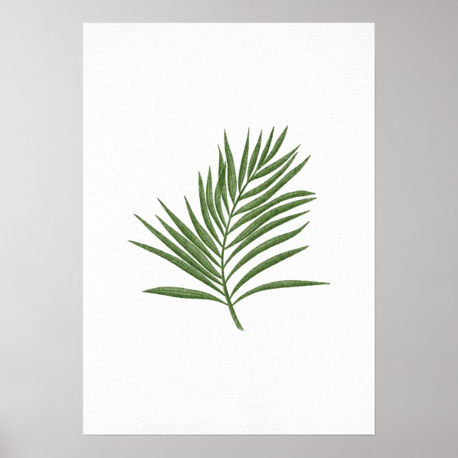 Affiche Feuille verte 3 (Devant)