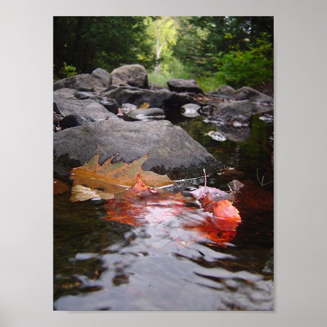 Affiche Feuilles (Devant)