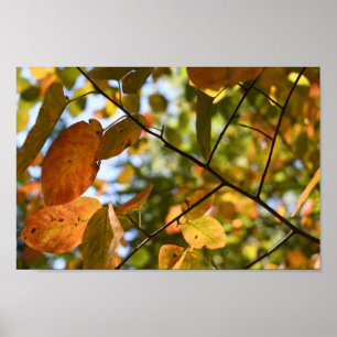 Affiche Feuilles automnales Feuilles d'automne Feuilles Sk