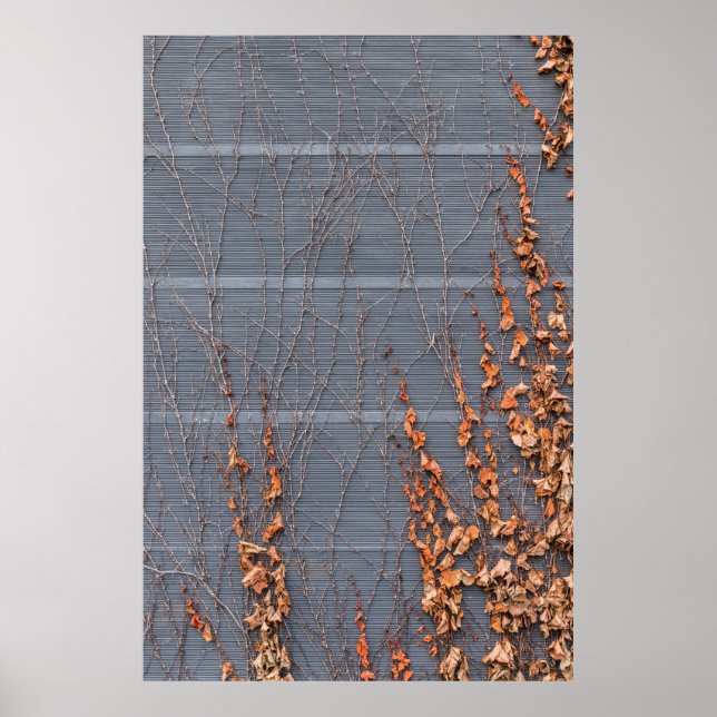 Affiche feuilles Brown séchés à l'eau (Devant)