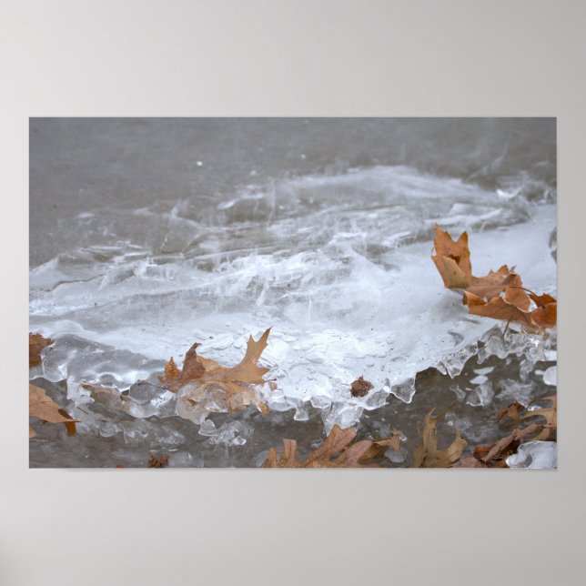 Affiche Feuilles Coincées dans la Glace (Devant)