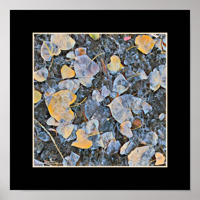 Affiche Feuilles congelés (Devant)