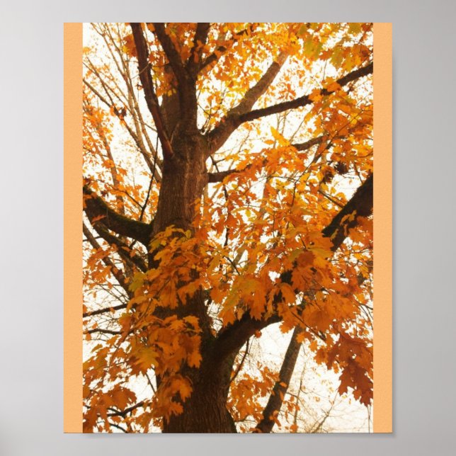 Affiche Feuilles d'automne (Devant)