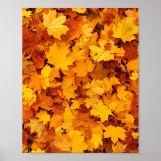 Affiche Feuilles d'automne