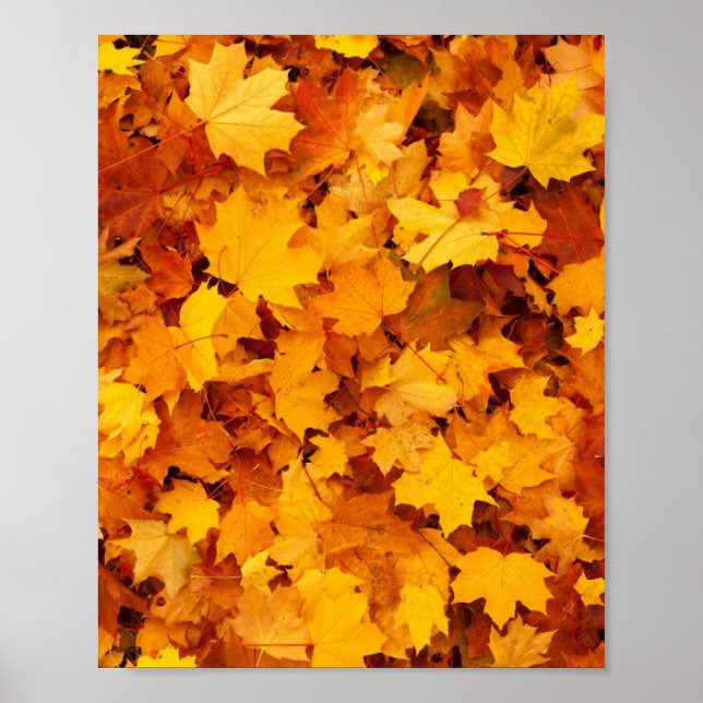 Affiche Feuilles d'automne (Devant)