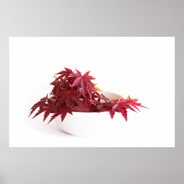 Affiche Feuilles d'automne (Devant)