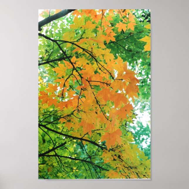 Affiche Feuilles d'automne (Devant)