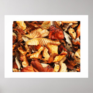 Affiche Feuilles d'automne