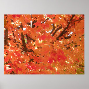 Affiche Feuilles d'automne 1