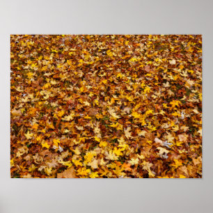 Affiche Feuilles d'automne Abstraites