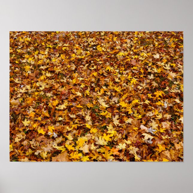 Affiche Feuilles d'automne Abstraites (Devant)