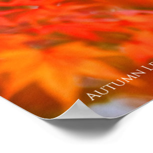 Affiche Feuilles d'automne [Affiche]