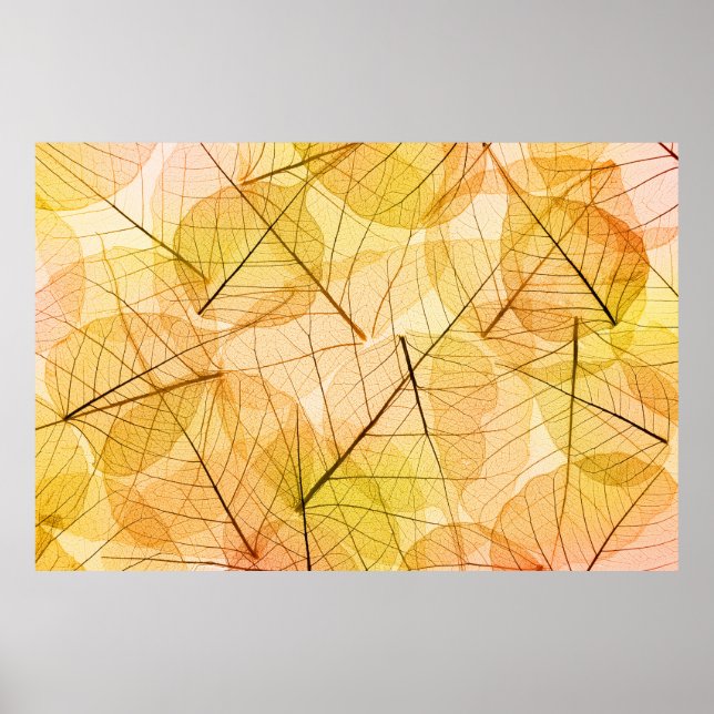 Affiche Feuilles d'automne Arrière - plan jaune et orange  (Devant)