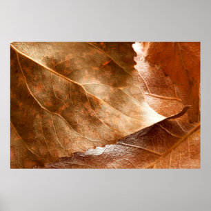 Affiche Feuilles d'automne closeupabstract, automne, arriè