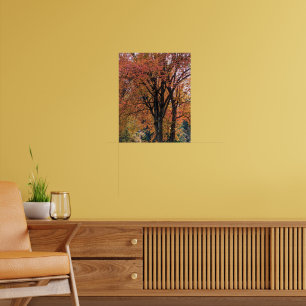 Affiche Feuilles d'automne colorées photographiques