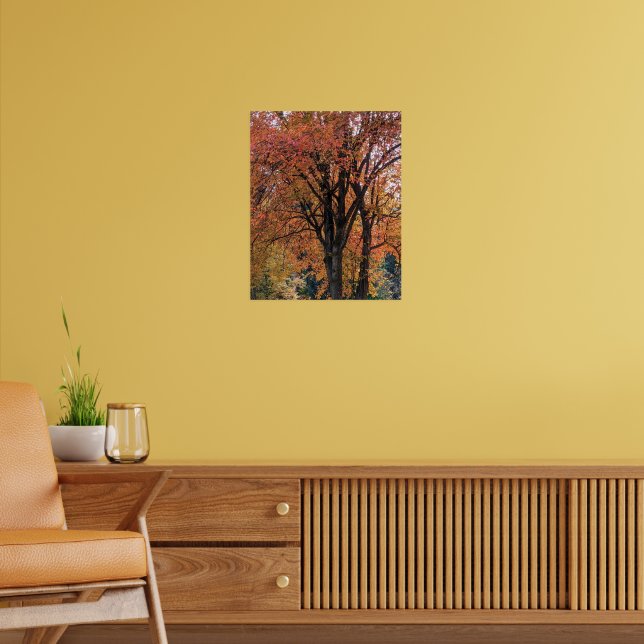 Affiche Feuilles d'automne colorées photographiques (Salon 2)