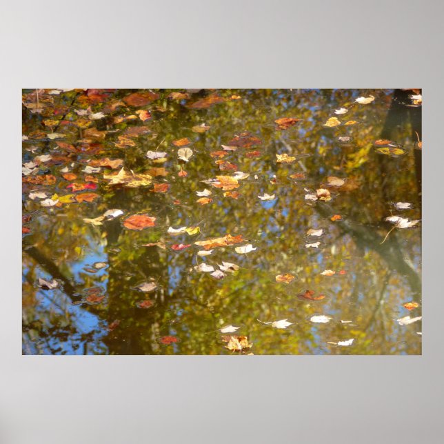 Affiche Feuilles d'automne et reflet du ruisseau à Greenbe (Devant)