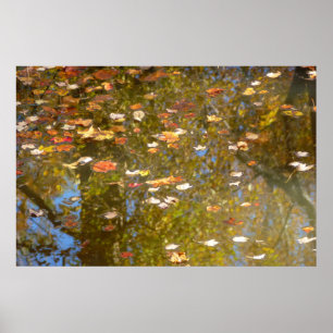 Affiche Feuilles d'automne et réflexion sur le cours d'eau