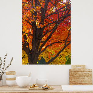 Affiche Feuilles d'automne jaune et orange, ZSSPG vertical