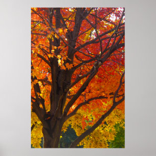 Affiche Feuilles d'automne Jaune et Orange, ZSSPG vertical