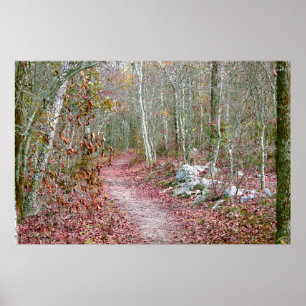 Affiche Feuilles d'automne roses sentier Goat Rock Arkansa